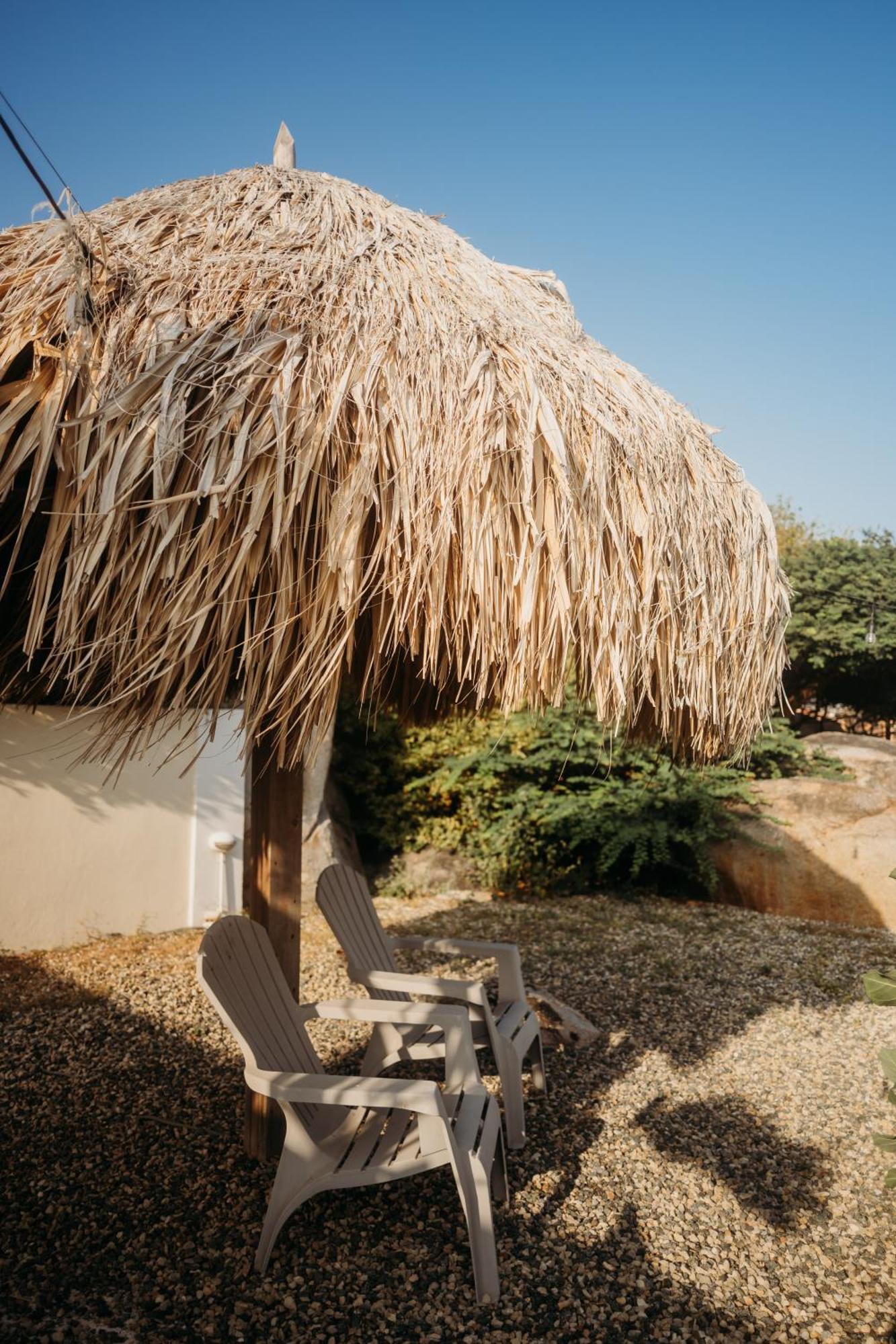 Pura Vida Aruba Appartement Palma Noord Exterior foto